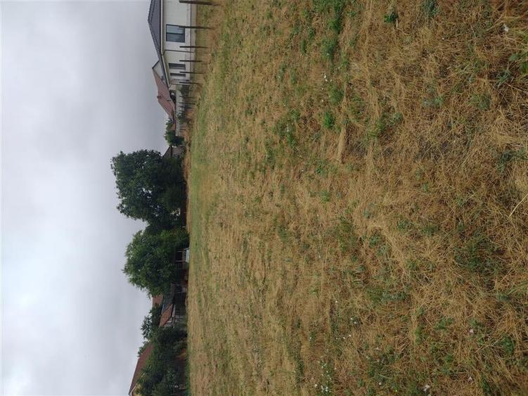 RECO Casa cu teren Generos Santandrei - 8