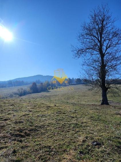 Teren de vanzare, intravilan, 16667 mp, Abrud, Jud. Alba - 2