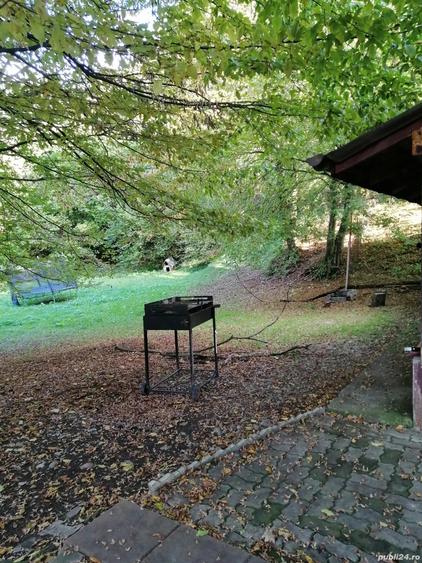 Inchiriez casa in Floresti la marginea padurii - 12