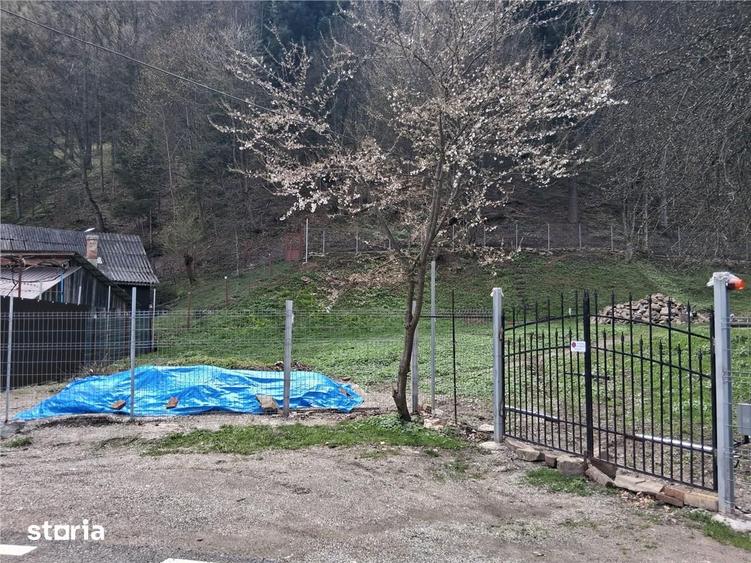 Teren intravilan Izvoru Muntelui, 500 mp - 3