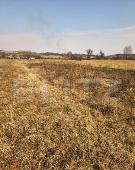 Teren extravilan de vanzare, 40 ARI, zona Racsa - 4