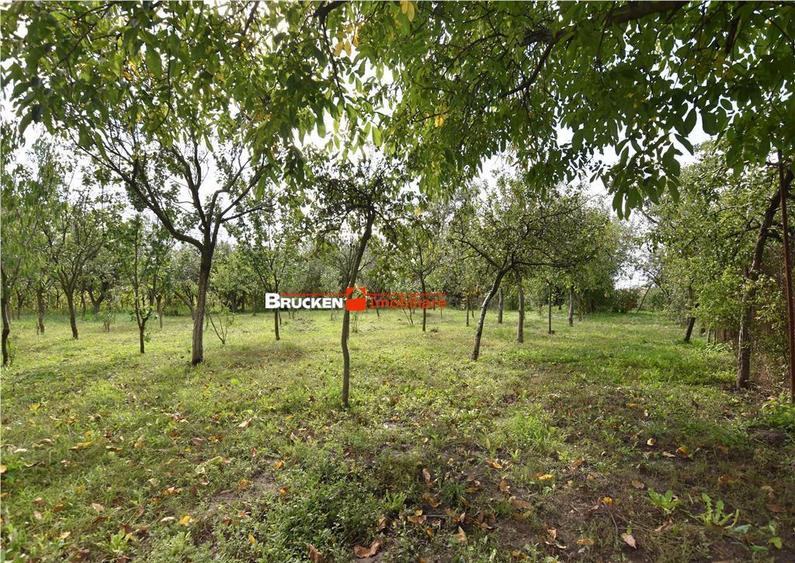 CASA IN ZONA GARII | MARGHITA - 2