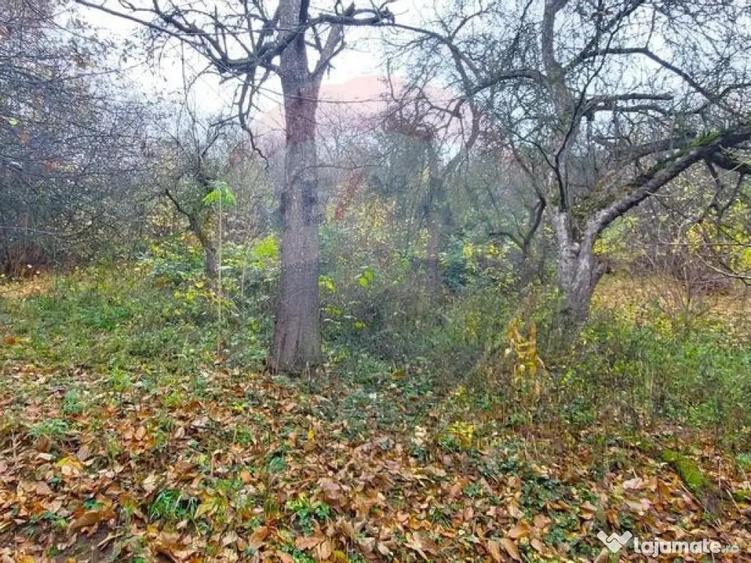 Comision 0! Casa cu teren de 1000mp in inima Brasovului - 10