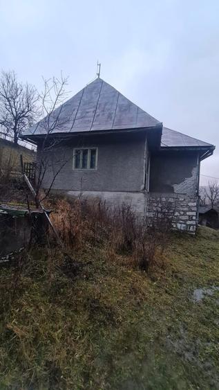 Casa la munte comuna Sohodol judet Alba - 4