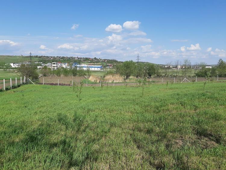 Teren intravilan, loc de casa in Cismea, Rachiti Botosani - 3