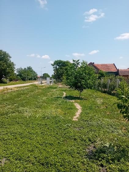 Livadă  mixtă  De vanzare - 1