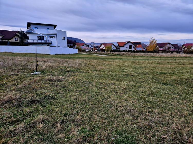 Teren Intravilan superb, 504 mp x 2/ casa locuit Bunloc - 6