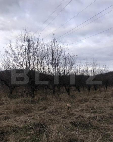 Teren intravilan, 1037 mp, Viforata