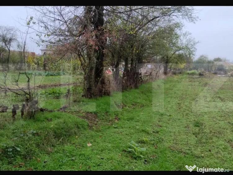 Ocazie investitie! Teren intravilan cu acces stradal, Petre - 4