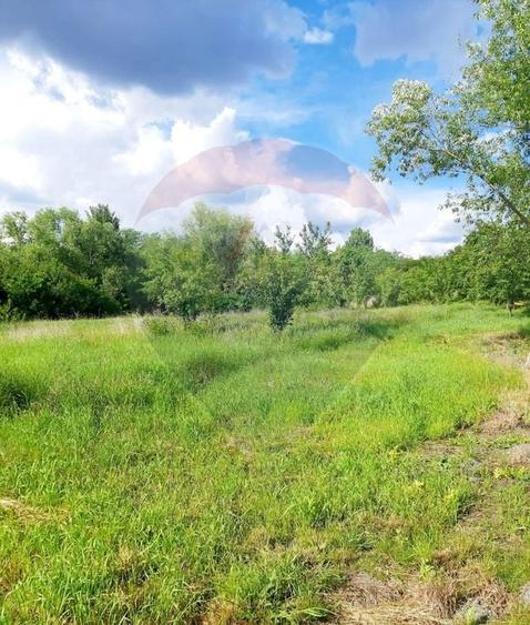 Teren intravilan de 6850 mp, în Izvor