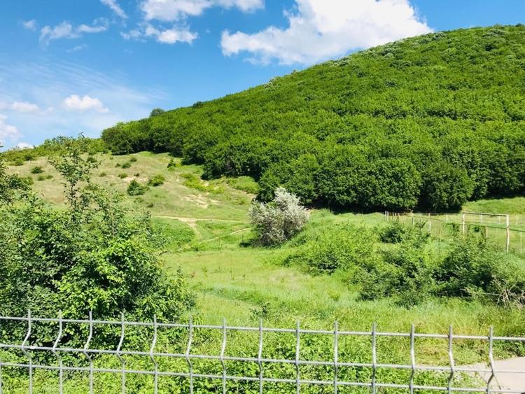 BABADAG -TEREN INTRAVILAN , 1000 MP - 3