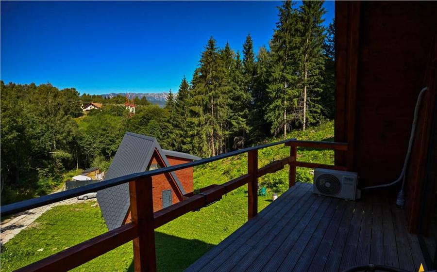 2 Case A frame,mobilate,accesorizate, 2.500 mp teren,peisaj, - 10