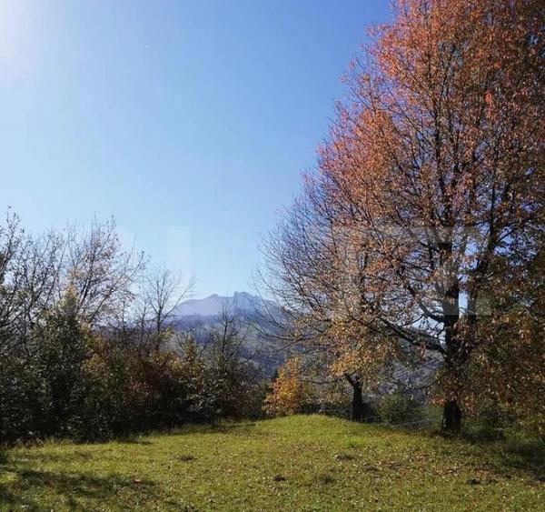 Teren 2500 mp, la strada, Ceahlau,, locatie perfecta - 3