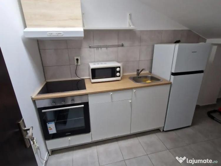 Aparatorii patriei fermei oltenitei - 7