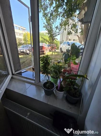 Apartament 2 camere str ION LUCA CARAGIALE - 7