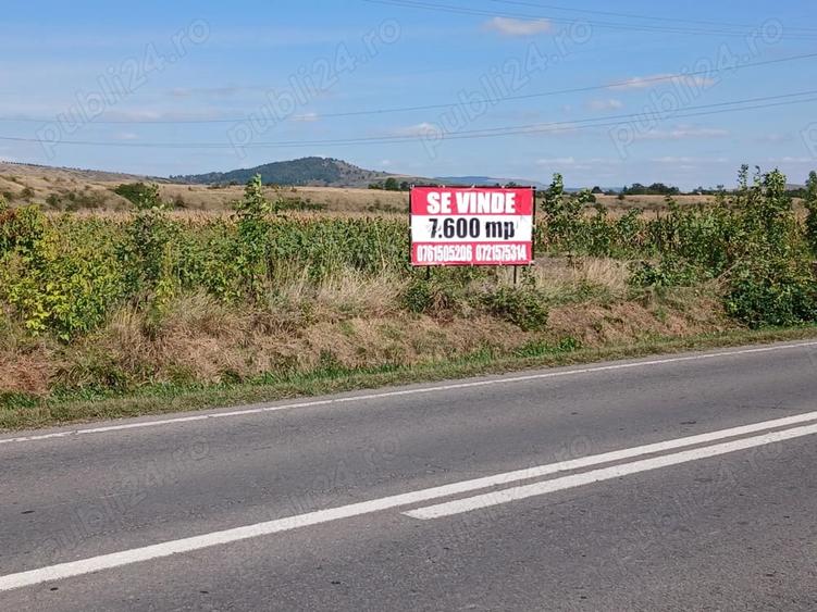Teren de 9600 mp, în Central