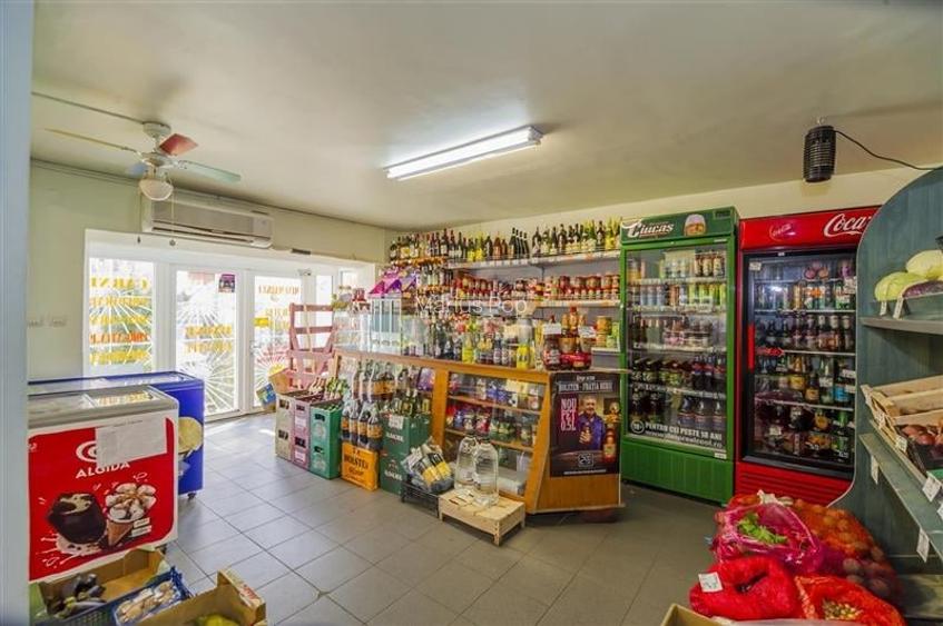 Spațiu comercial, 101 mp în Noua