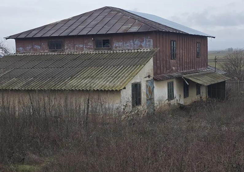 Moara cu Val?uri industriala - 4