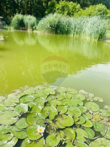 Vila de vanzare Padurea Snagov - 14