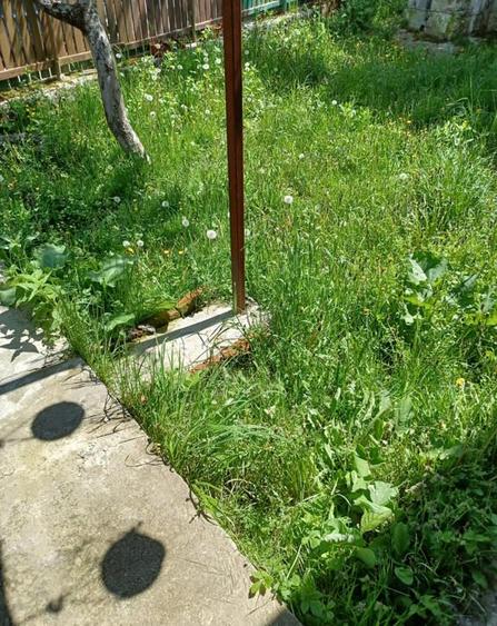 Casa 2 camere plus living - 8