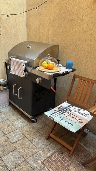 CASA CU POTENTIAL PARCUL POPA SOARE- NICOLAE DABIJA! - 6