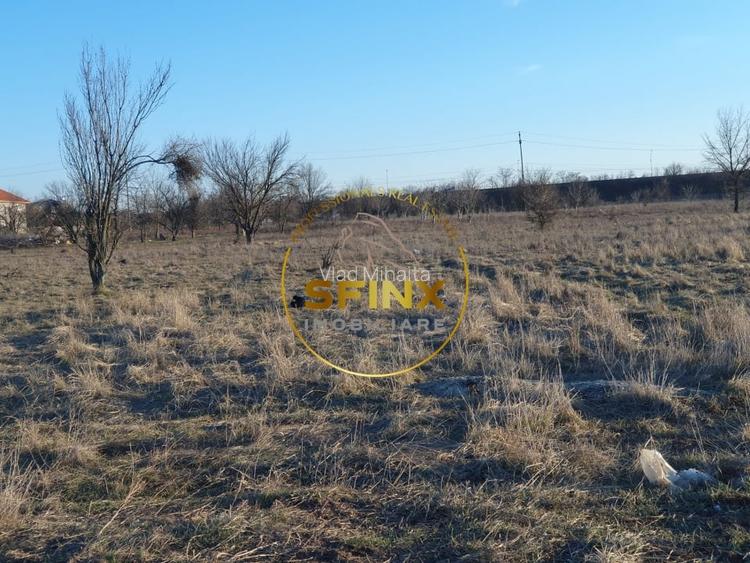 TEREN INTRAVILAN BRAGADIRU 5000mp| SOSEAUA ALEXANDRIEI | DESCHIDERE LA 2 STRAZI