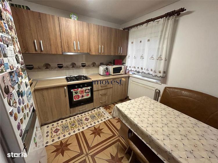 Casa de vanzare in Iojib, Satu Mare | 2 Case + Spatiu Comercial Activ - 7