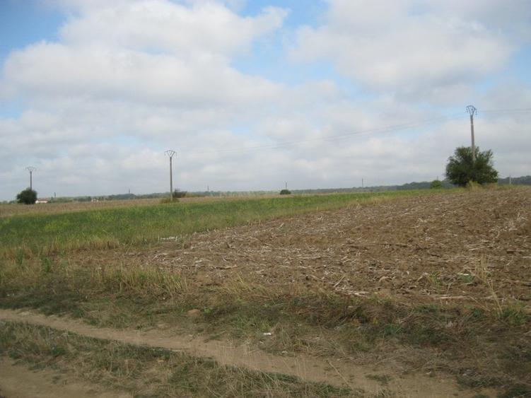 Proprietar,VandTeren10100mpDes43Utilitati150m*INVESTITIE PROIECT CASE*INTRAVILAN - 10