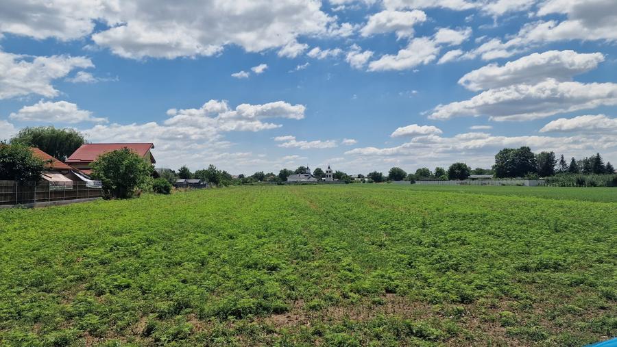 Teren intravilan 9 470 mp – Bolintin-Deal - 2