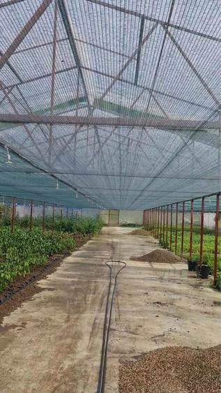 Afacere la cheie - hala productie- sera- birou - 10
