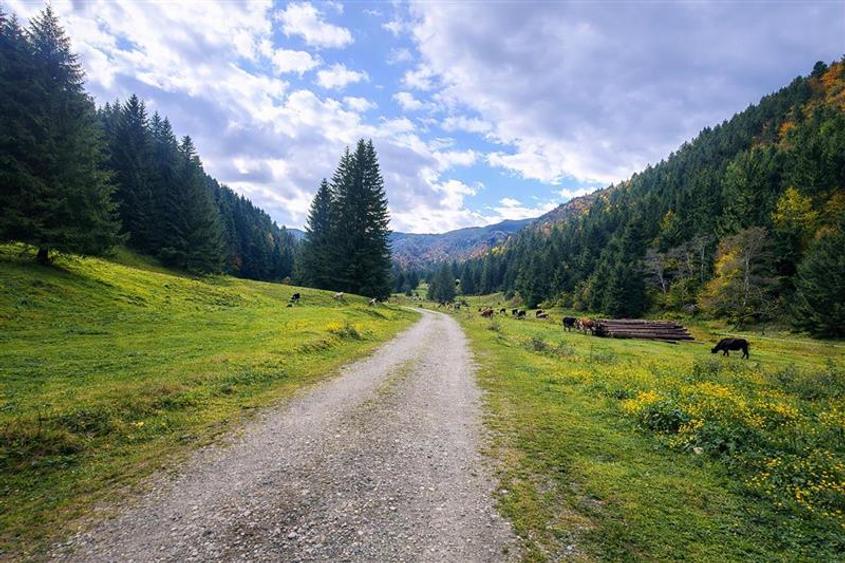Teren intravilan panoramic 4.600mp,view iconic Piatra Craiului,oportunitate prem - 7