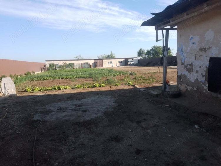 Vand teren +construc?ie hala+casa batraneasca demolabila - 2