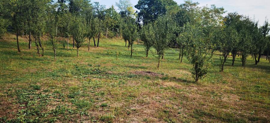 Teren Construcții intravilan de 1400 mp, în Est