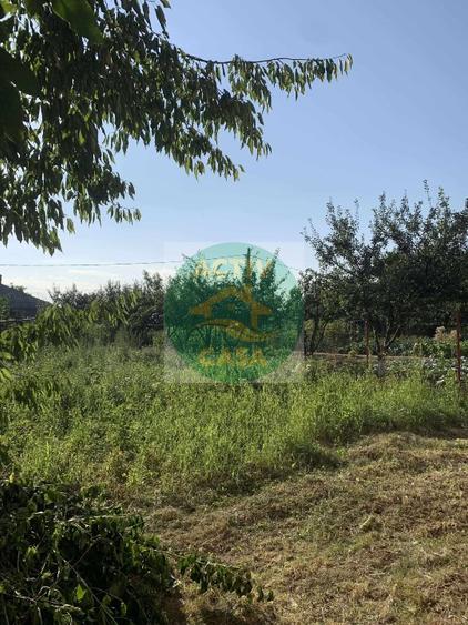 Casa de vanzare, zona Butea-Miclauseni - 7