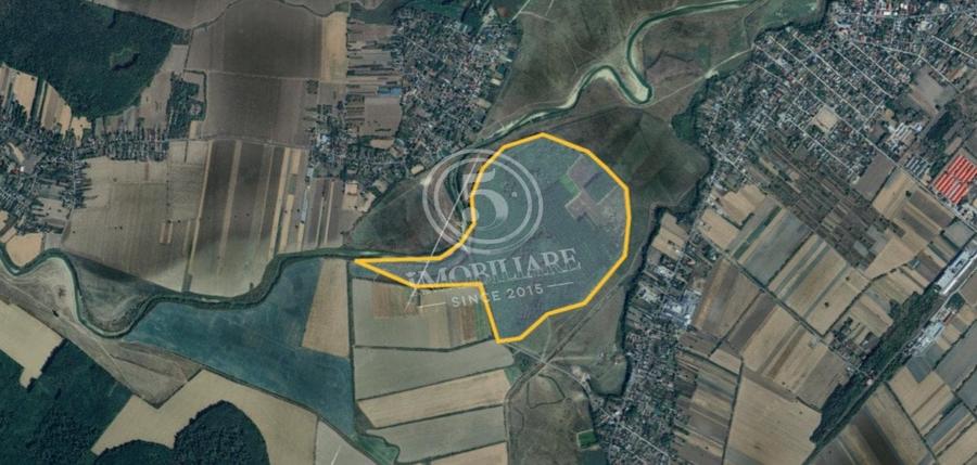 Pădure de vânzare - Pădurea lui Bolete, Fierbinți-Târg - 2