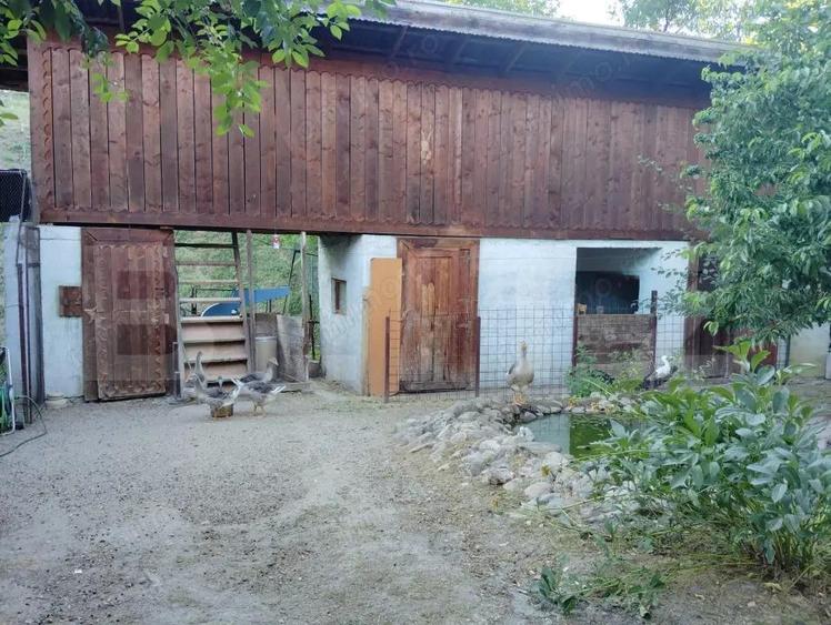 COMISION 0!Casa cu 2 apartamente, 210 mp, 1350 mp teren, in Vistea - 9