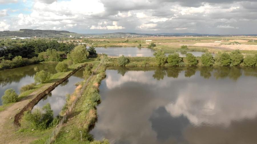 Lac Piscicol cu teren 7,5 HA de vanzare in Jud Sibiu la 10 km de Sibiu - 6
