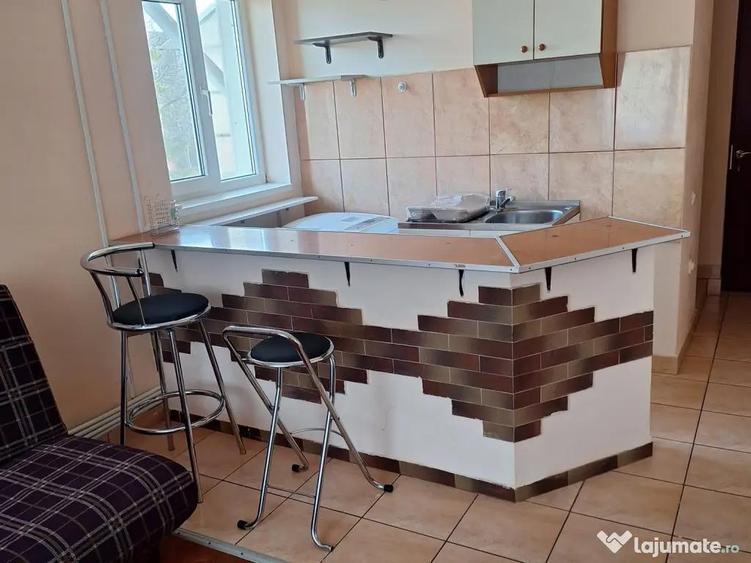 Pretul chiriei inlude costul caldurii - 1