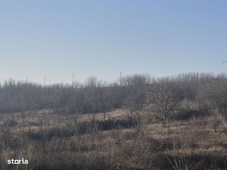 Loturi de teren de vanzare in Bratuleni Miroslava|15 /mp|Rate-2 ani - 1