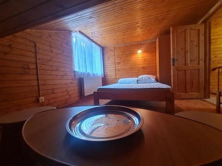 Incadrata de 4.200mp teren, Vila cu potential turistic, in inima Predealului - 21