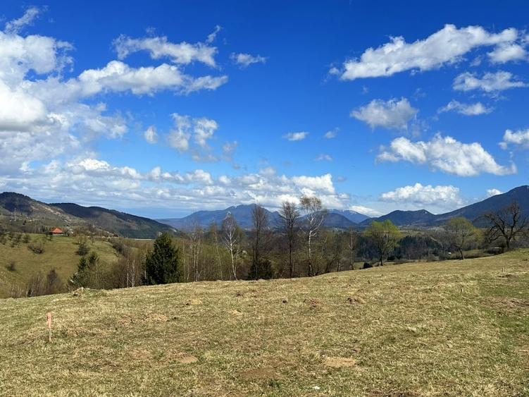 Teren 1550 mp, sat Pestera, zona Bran-Moieciu, jud. Brasov - 7