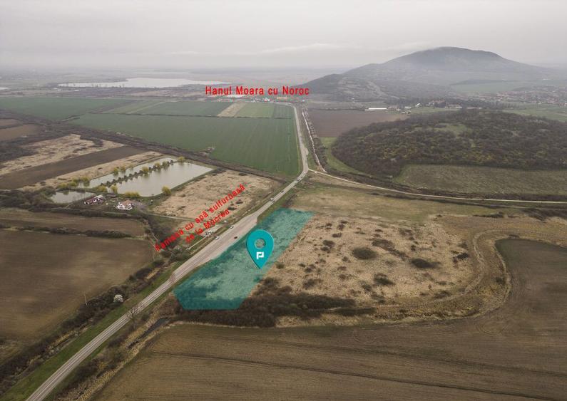 Teren extravilan in Ineu - 27