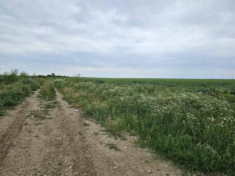 Planul I 14.832 mp Slatina bucla Drum Expres DX12 - DJ 546 - 6