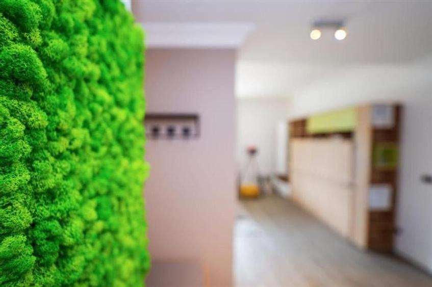 Imobil Clasa Lux, rezidential si/sau  investitional, purtator profit, Poiana Bra - 21