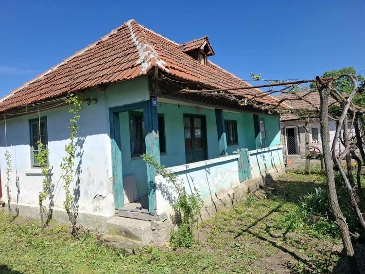 Casa de vanzare in sat Busu, comuna Grecesti, judetul Dolj. - 1