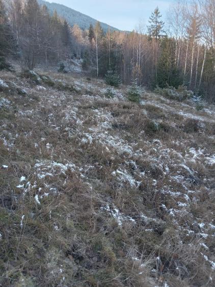 Teren de vanzare - 5