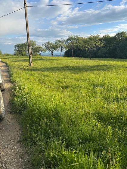 Pamant de vanzare - 8