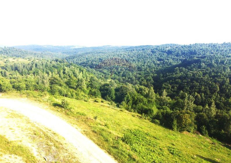 Teren de vanzare in Salicea, 10000 MP , Zona Moara de vant! - 1