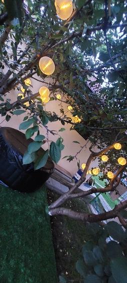 Teren cu două case în Breazu Copou - 6