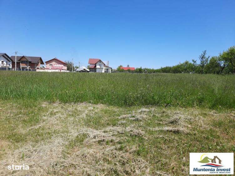 Teren 850 mp,Albota(Morlovani) - 9